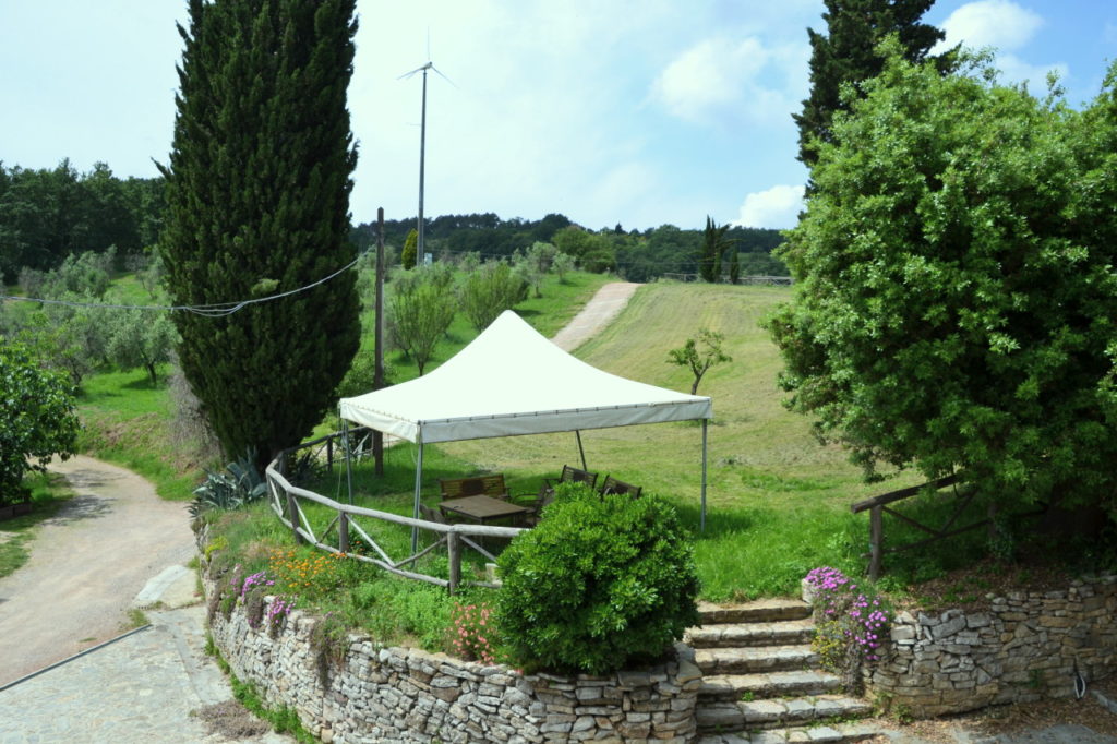 DSC 0148