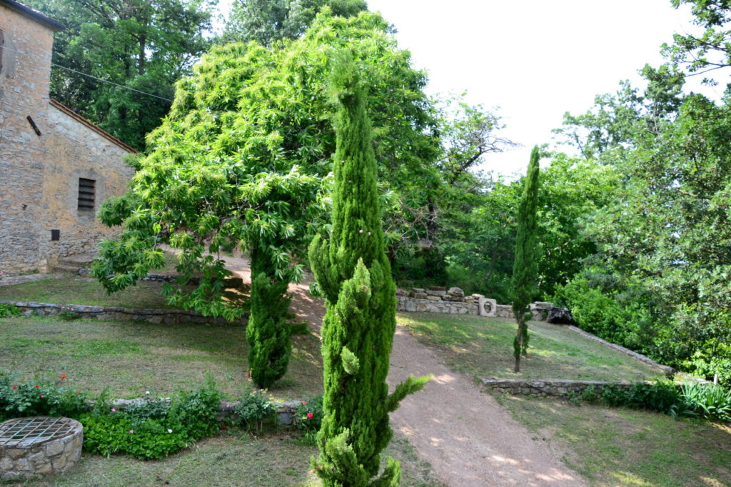 DSC 0235