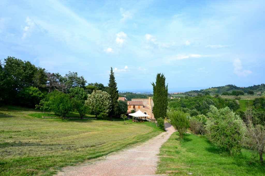 DSC 0270