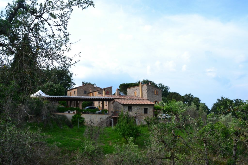 DSC 0277